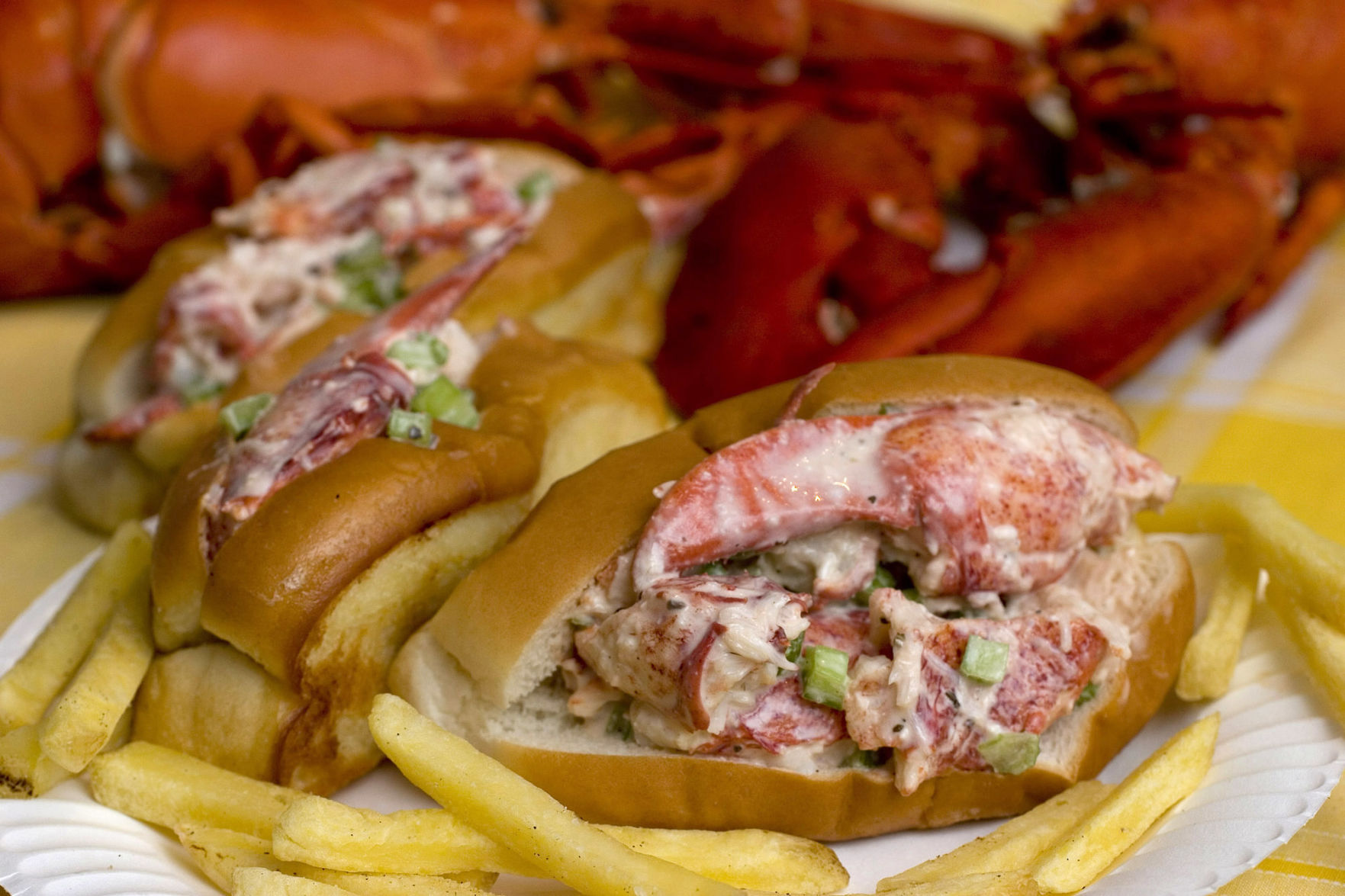 Maine: Cold lobster roll